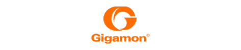gigamon logo gigamon logo